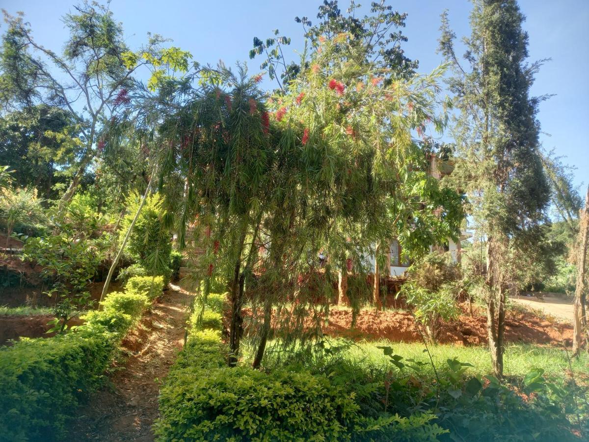 Emmy Backpackers Hostel Iringa Exterior foto