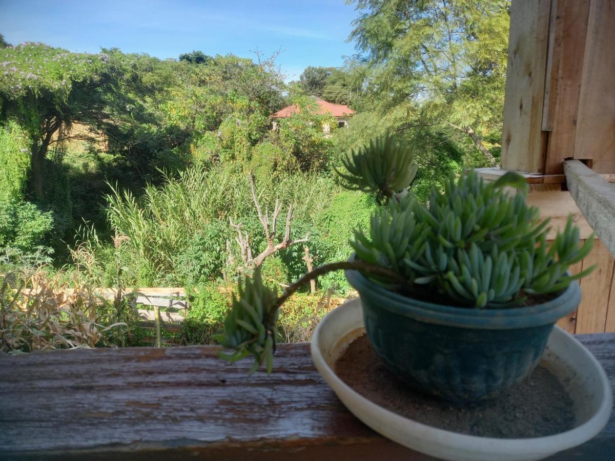 Emmy Backpackers Hostel Iringa Exterior foto